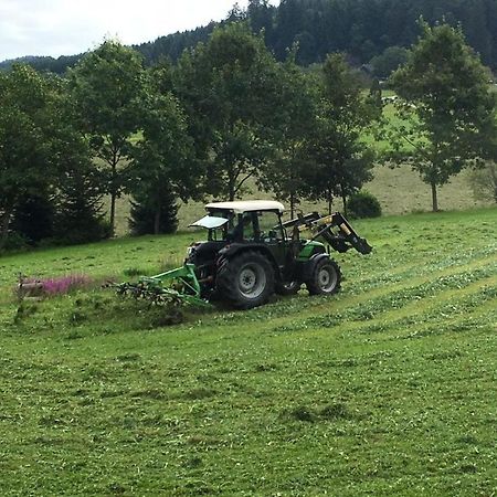 Mattenhof Zell am Harmersbach Esterno foto