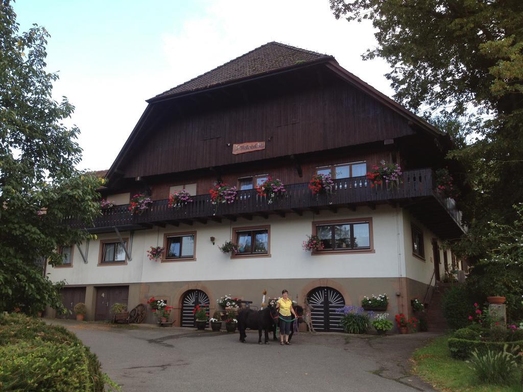 Mattenhof Zell am Harmersbach Esterno foto
