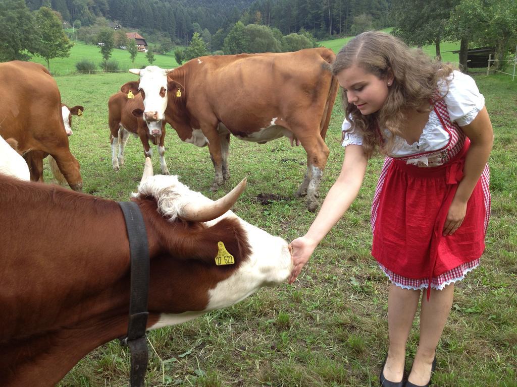 Mattenhof Zell am Harmersbach Esterno foto