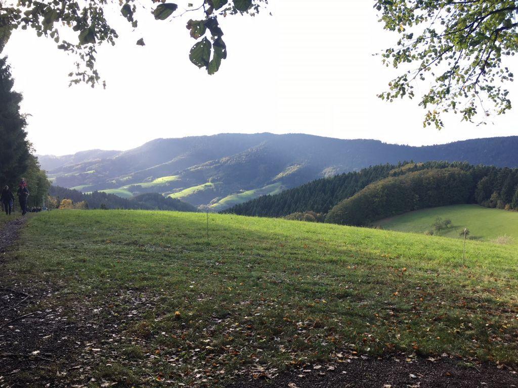 Mattenhof Zell am Harmersbach Esterno foto