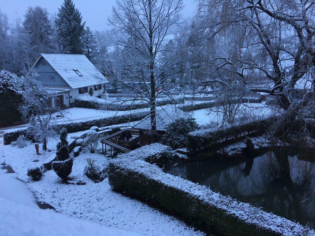 Mattenhof Zell am Harmersbach Esterno foto